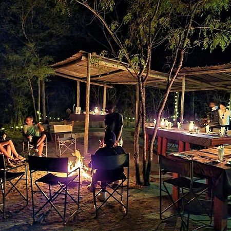 Отель The Wild Olive Tree Camp Welverdiend  Экстерьер фото