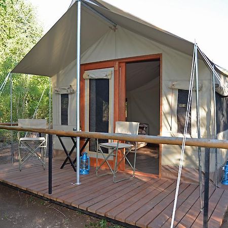 Отель The Wild Olive Tree Camp Welverdiend  Номер фото