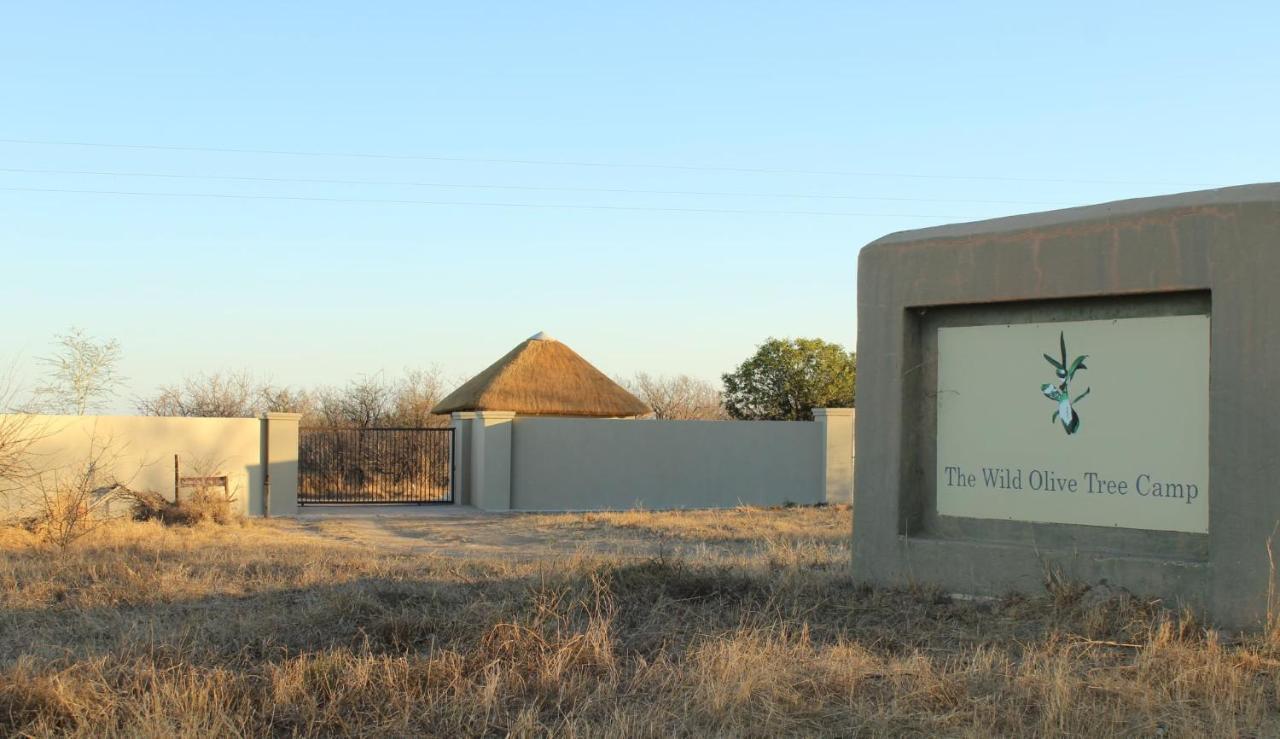 Отель The Wild Olive Tree Camp Welverdiend  Экстерьер фото
