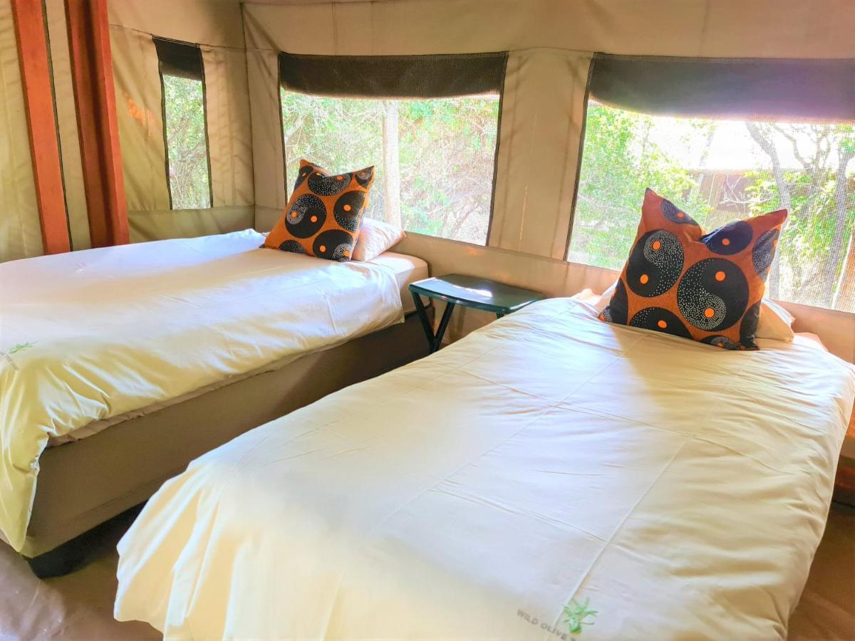 Отель The Wild Olive Tree Camp Welverdiend  Экстерьер фото