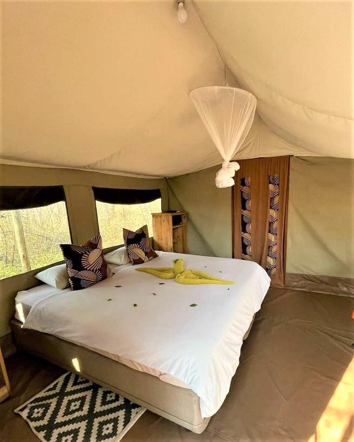 Отель The Wild Olive Tree Camp Welverdiend  Экстерьер фото