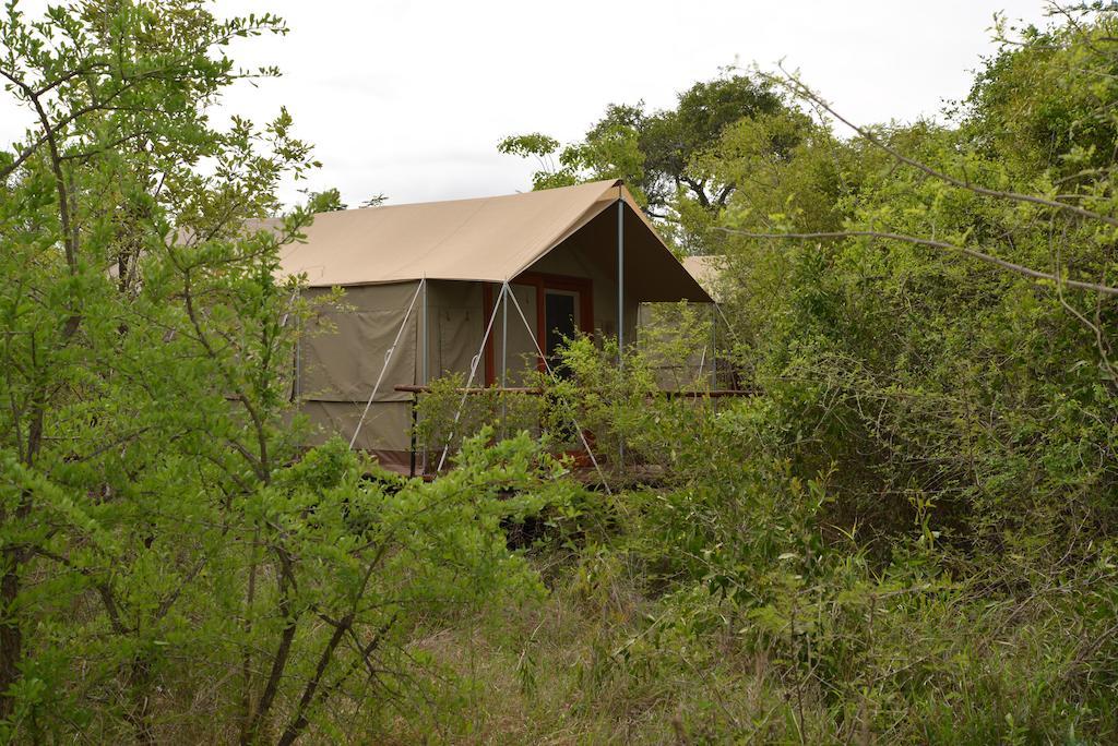 Отель The Wild Olive Tree Camp Welverdiend  Экстерьер фото